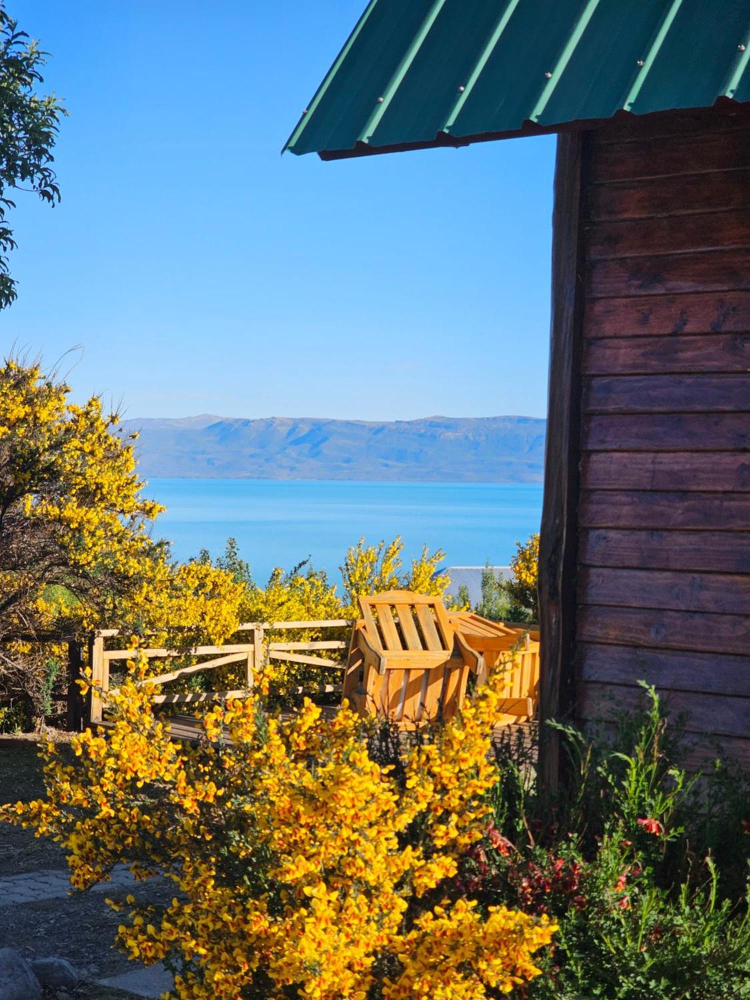 Brillos Patagonicos El Calafate Exterior foto